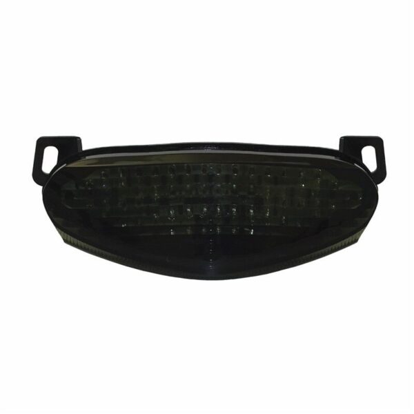 Smoke Tail Light For Kawasaki Ninja 650R